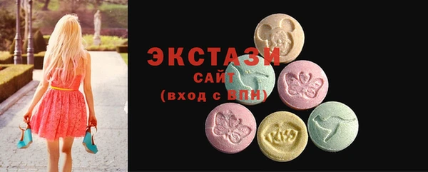 ECSTASY Богданович